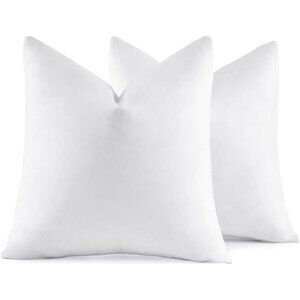 22x22 Pillow Inserts,Set of 2 Down Feather Throw Pillows for Couch Sofa